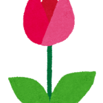 flower_tulip.png
